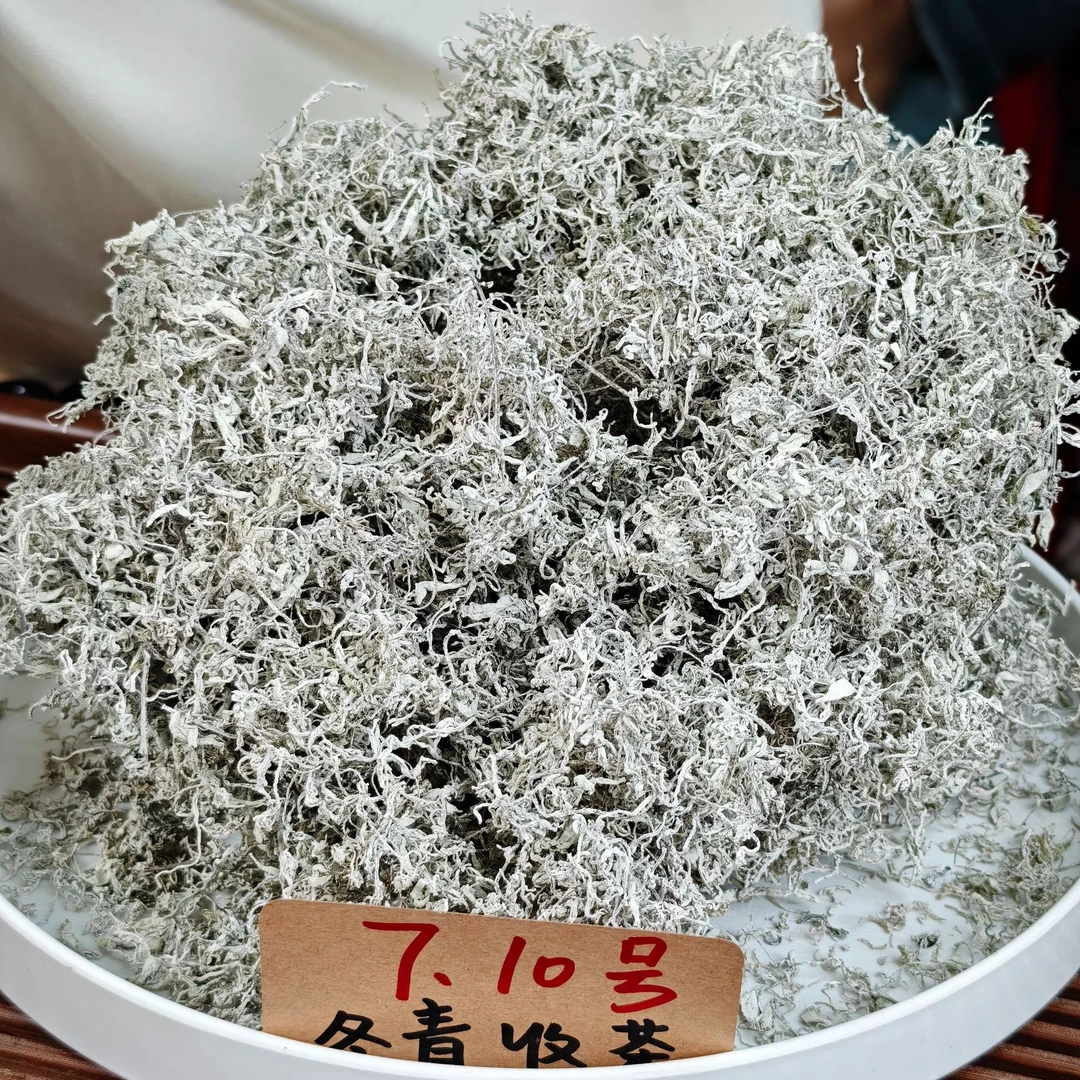 2025张家界龙须莓茶 罗塔坪核心产区  冬青收茶