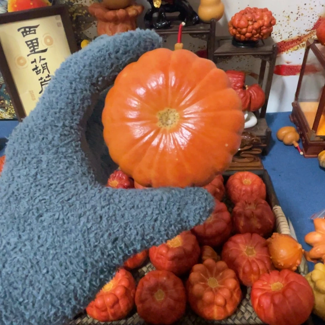 566555545556666666633