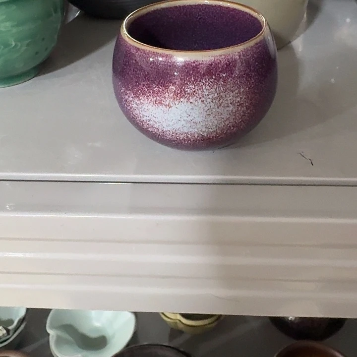 主人杯子一个，瓷。。。。