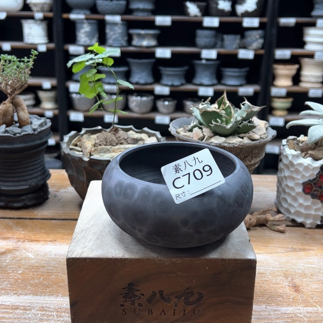 素八九陶瓷内口9.5高6.5