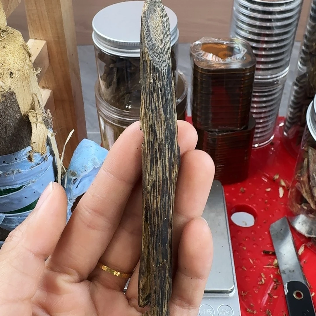 香料绿奇楠虫漏白棋8克