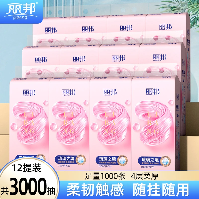 【12提】丽邦琉璃之境4层柔厚抽纸悬挂式纸巾1000张HZ2（含2个挂钩）