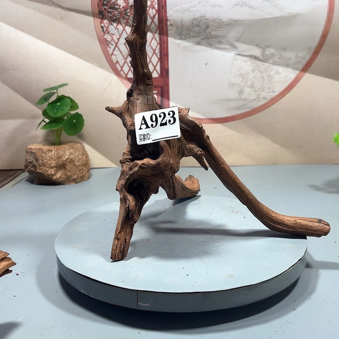 皮***走大果紫檀（缅甸花梨）