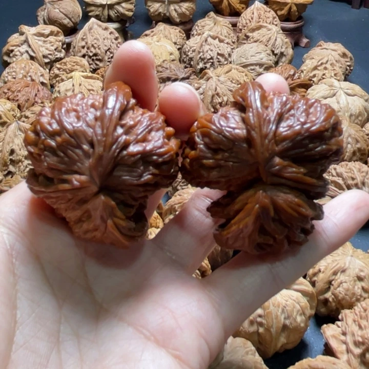 白狮子挂角43尺寸核桃哈哈哈哈哈哈