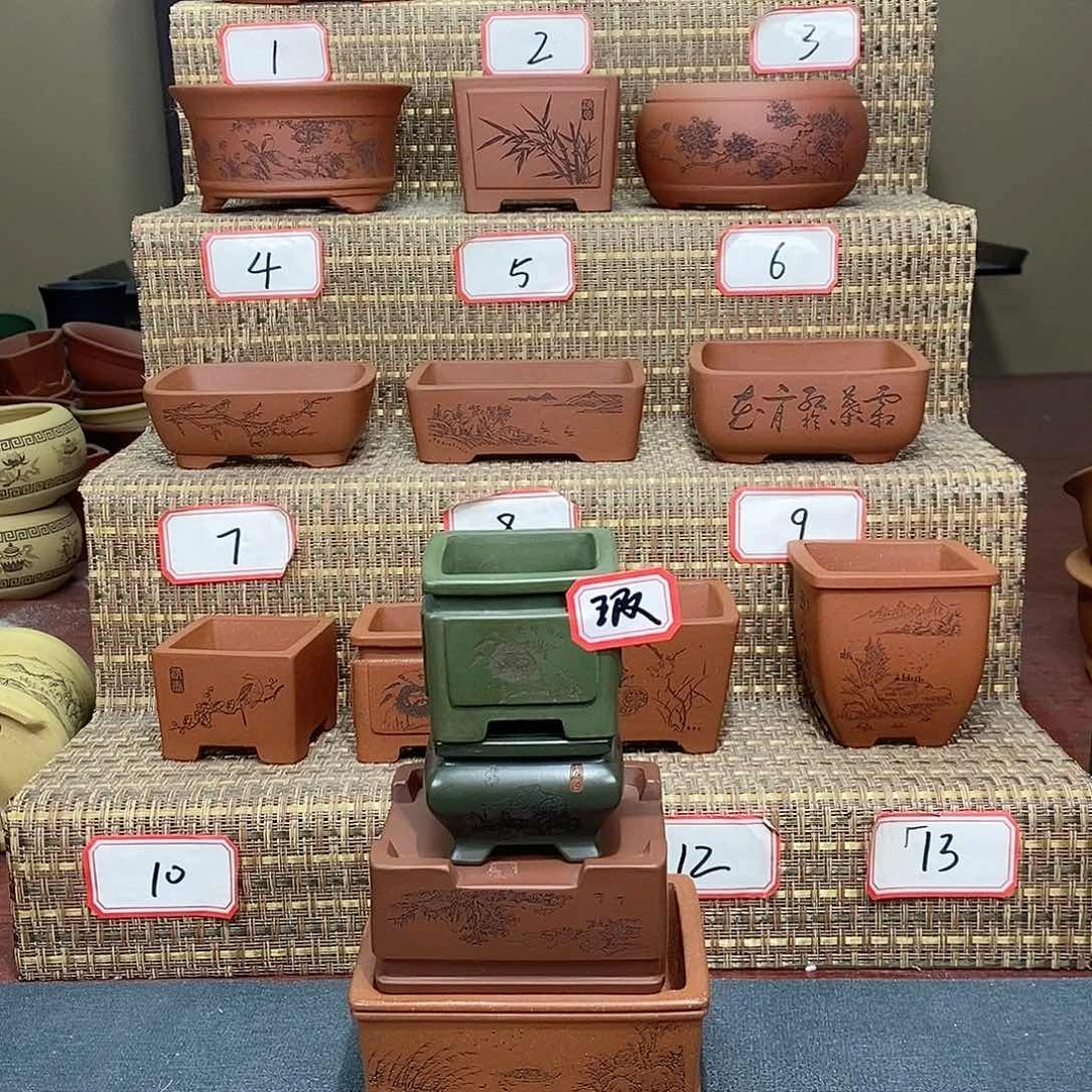 紫砂花盆我在等他