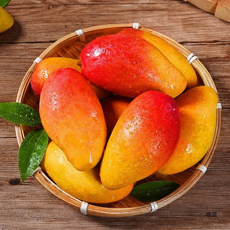 【情之甄】海南贵妃芒当季新鲜水果海南芒果应季时令生鲜催熟食用