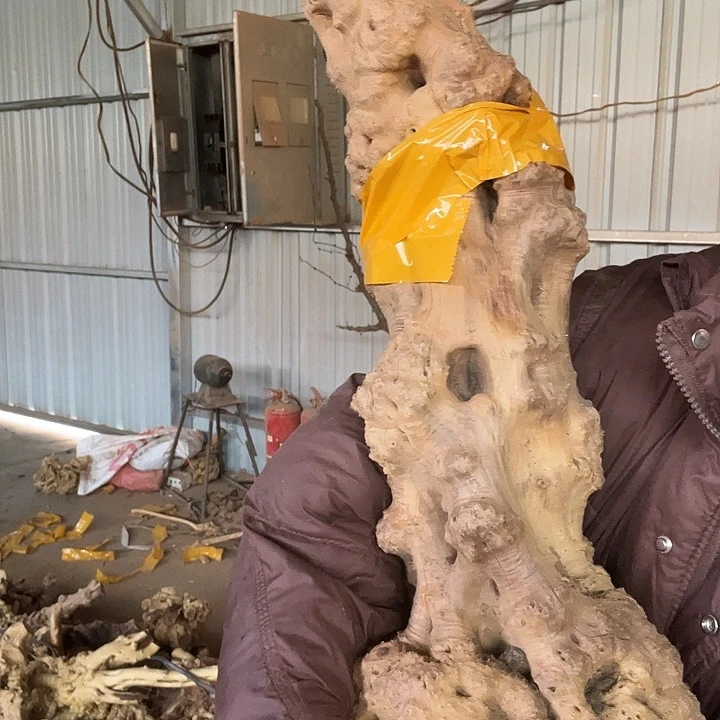 香榧木发信息说嘛不说话