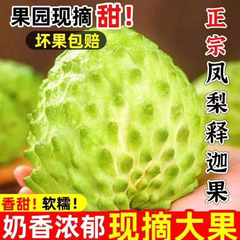 新鲜释迦果大目释迦牛奶释迦果新鲜水果现摘大果应季水果