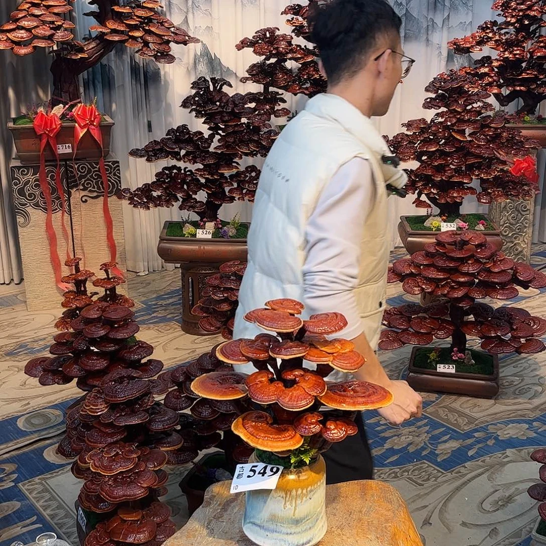 无花朵8888888888893