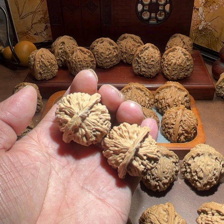 核桃手串/手链蚁*麻天地