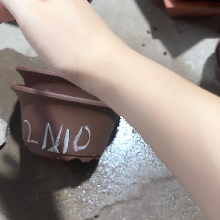 老***漆紫砂花盆破损包赔