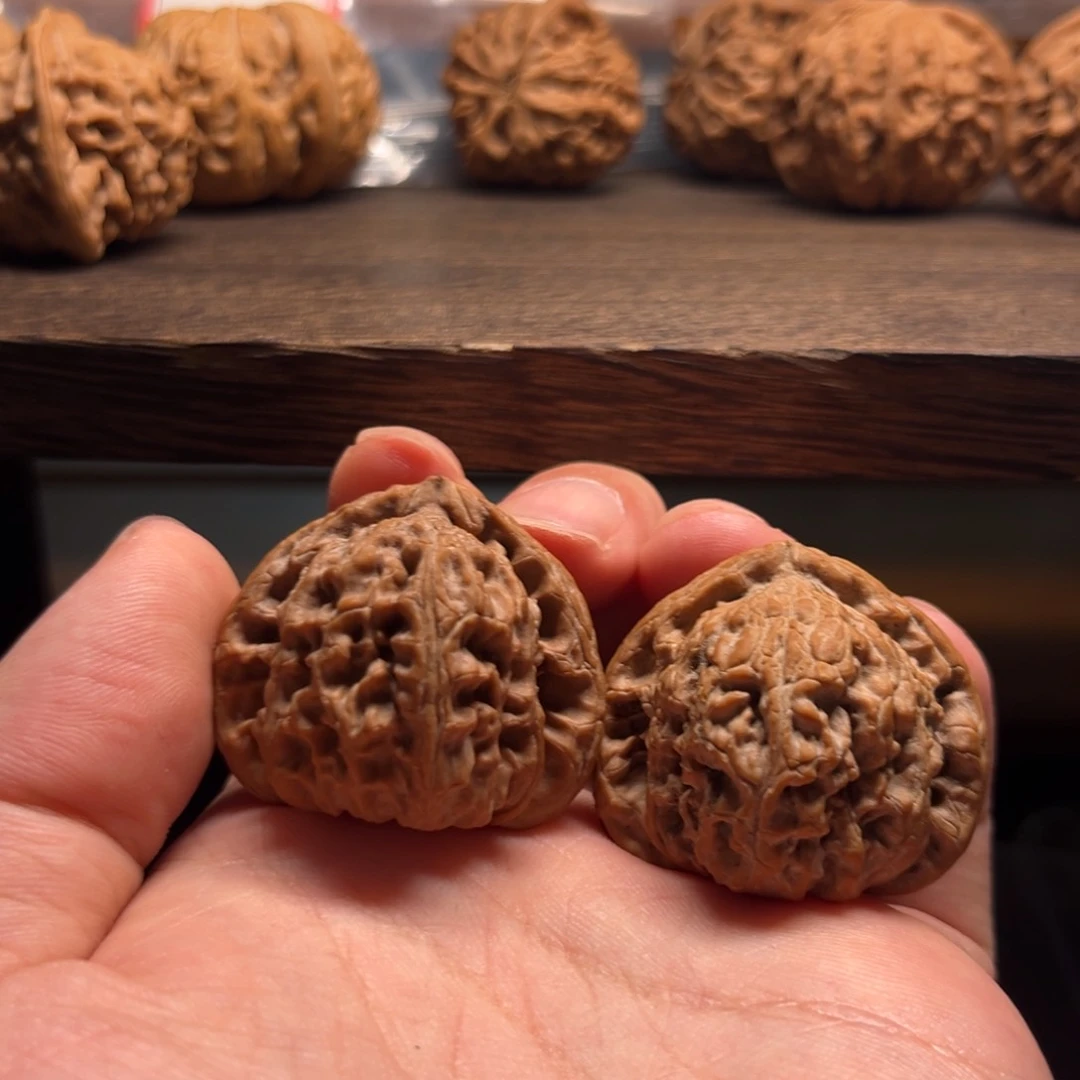 减***全品37红皮三角白狮子头