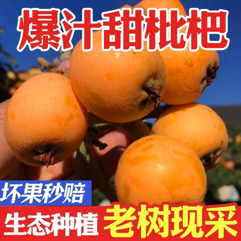 【现摘】当季新鲜水果大果米易网红新鲜水果夏季水果当季热卖