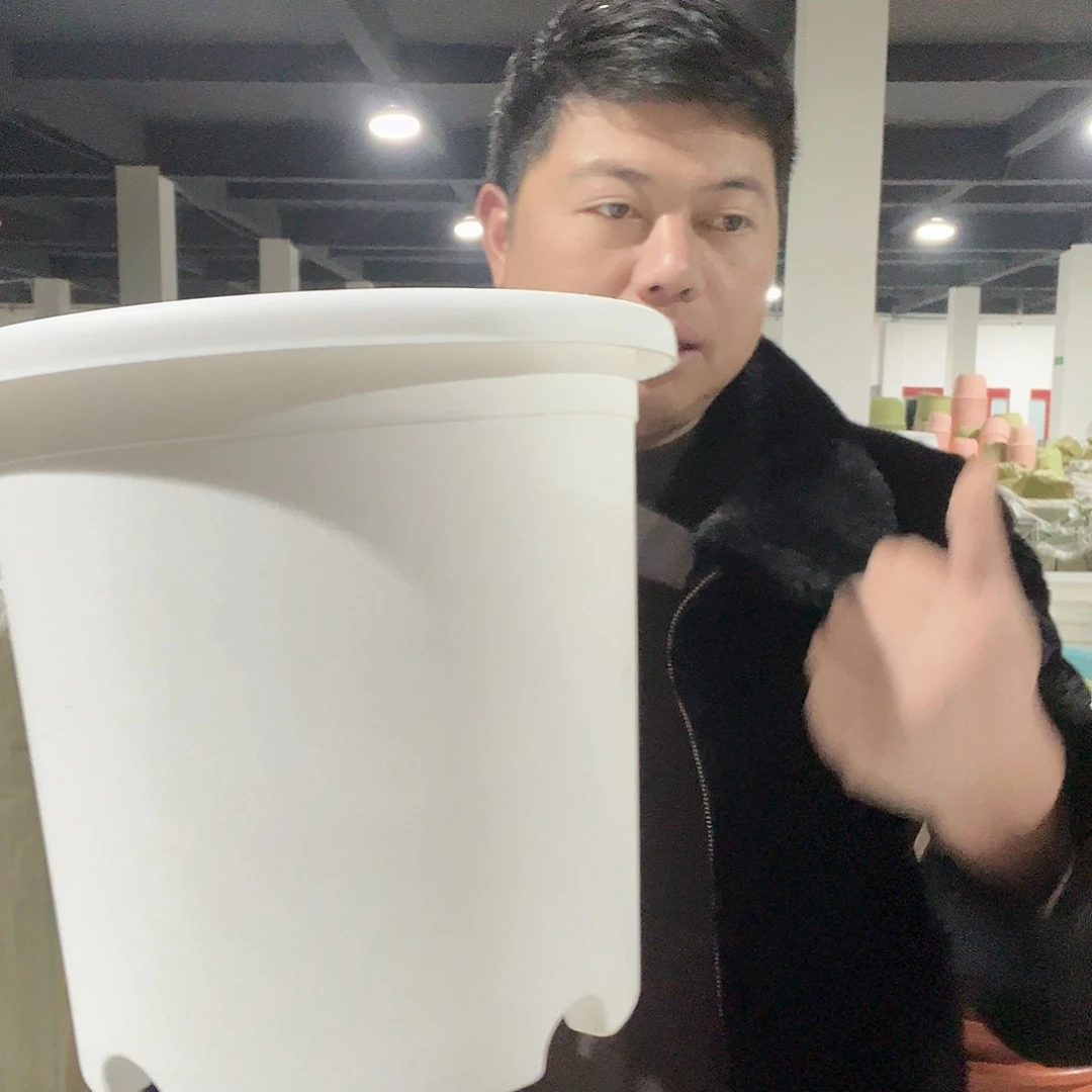 树脂圆6号白3个无托