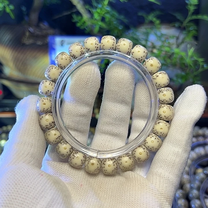 这***毒星月菩提手串海南原生态