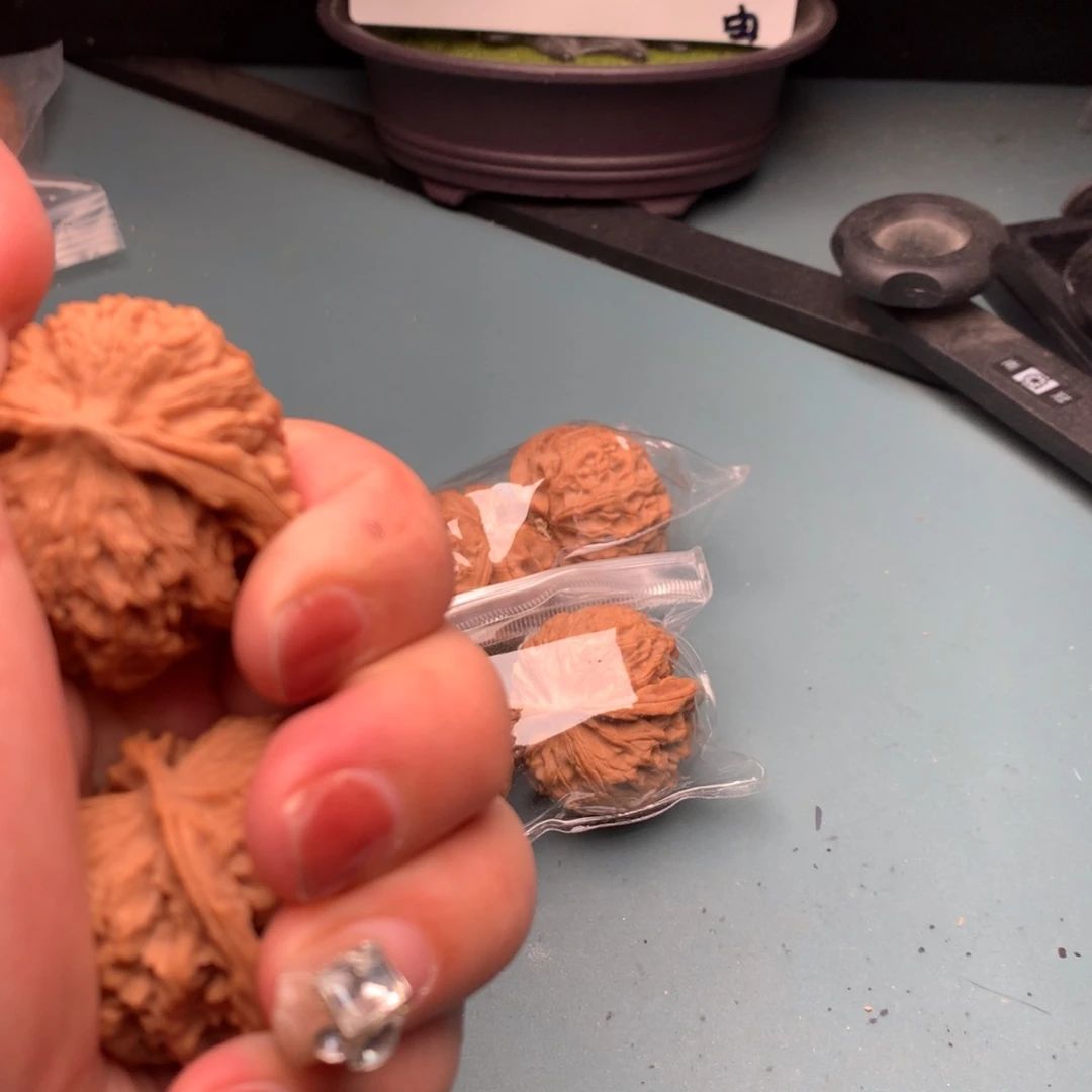 文玩核桃把件苹果4041