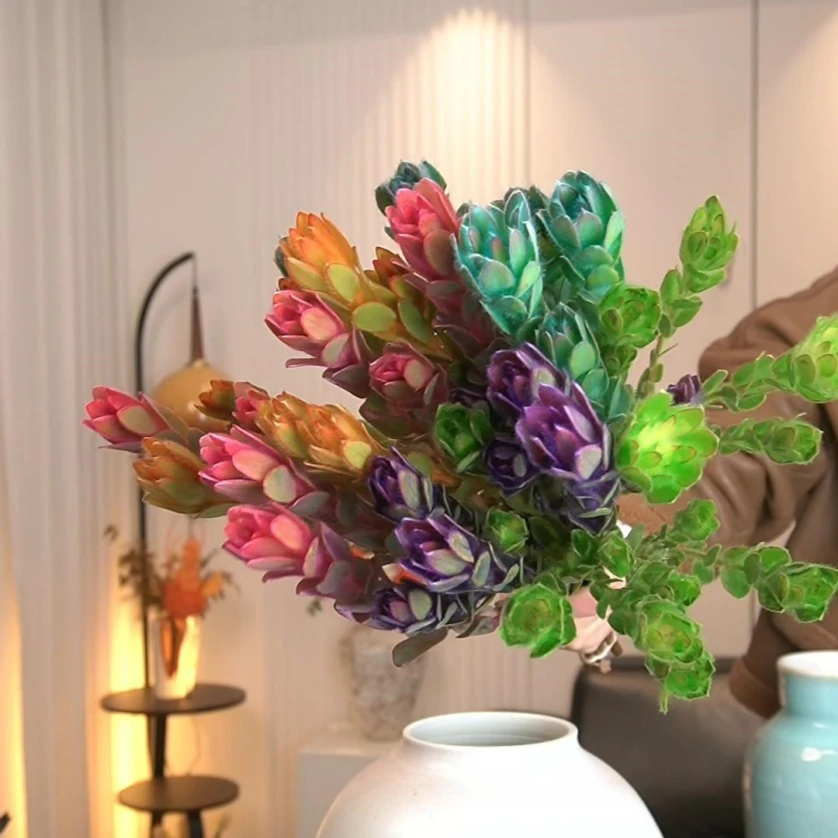 南非进口彩色木百合鲜切花可做干花家庭办公软装插花