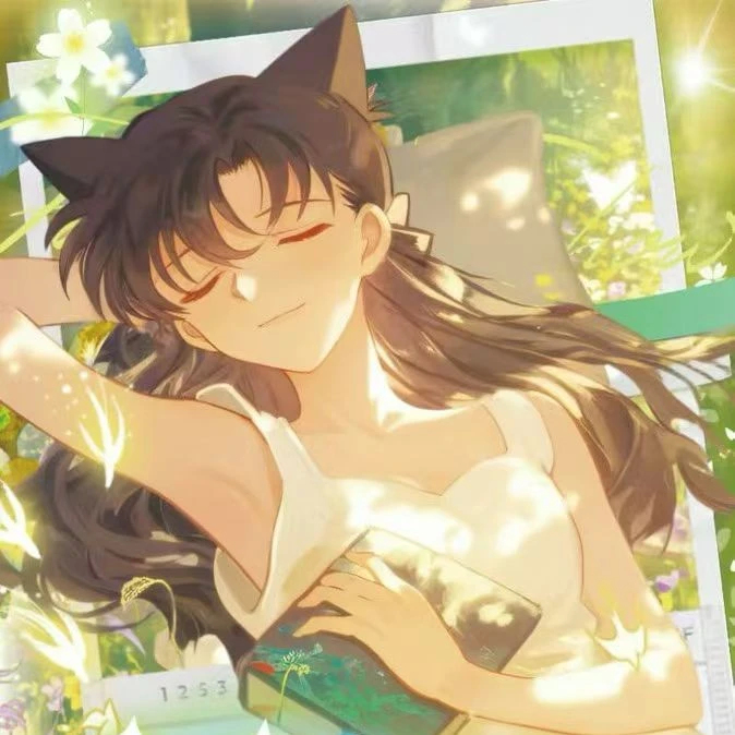 【多玩法】《追光文创»名侦探柯南A6亚克力色纸