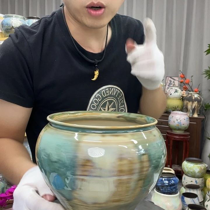 花盆里面疯疯癫癫多多少少