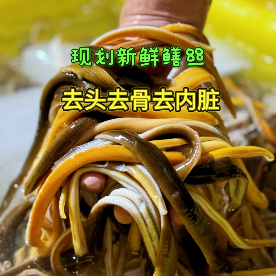 鳝鱼鲜活鳝鱼丝黄鳝丝(小)新鲜鳝丝去头去骨去肠顺丰当天发货