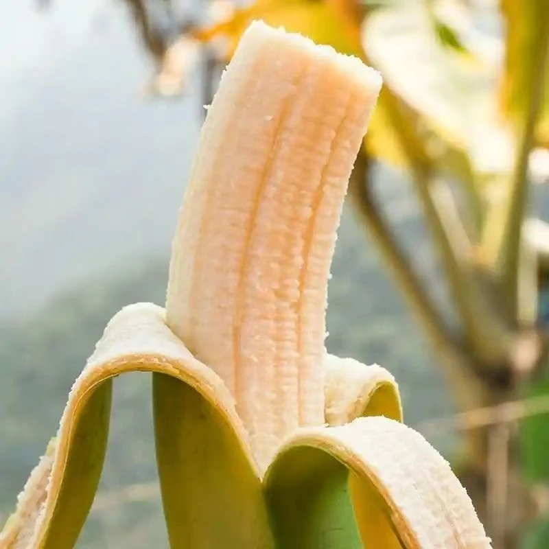 高山甜香蕉芭蕉水果产地直发包邮水果产地直发自然熟当季新鲜水果