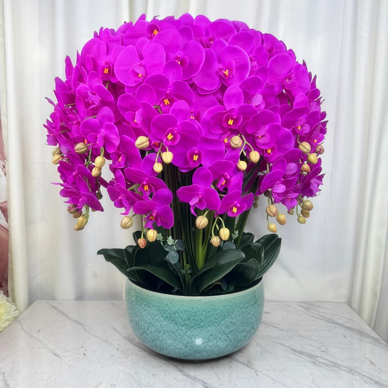 蝴蝶兰仿真花客厅高档花过胶手感保湿花大厅摆假花蝴蝶兰超大盆花