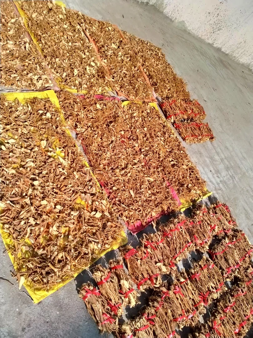 广东粤北五指毛桃根牛奶根