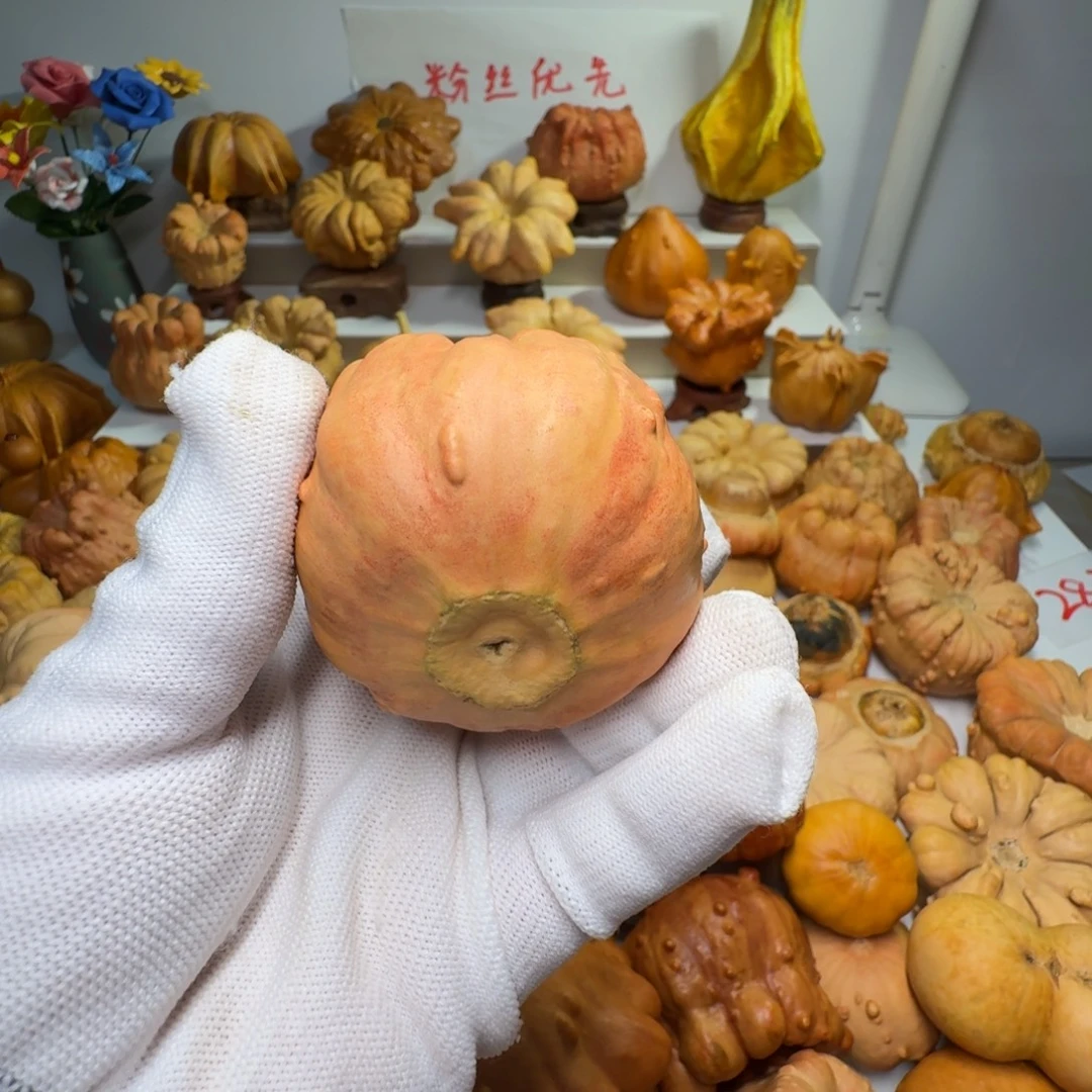 腾****墨西哥七彩葫芦异形