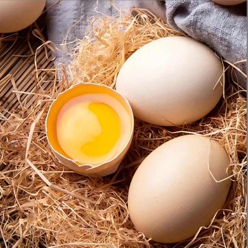 【10枚】农家散养土鸡蛋新鲜鸡蛋粉壳蛋包邮 破损包赔