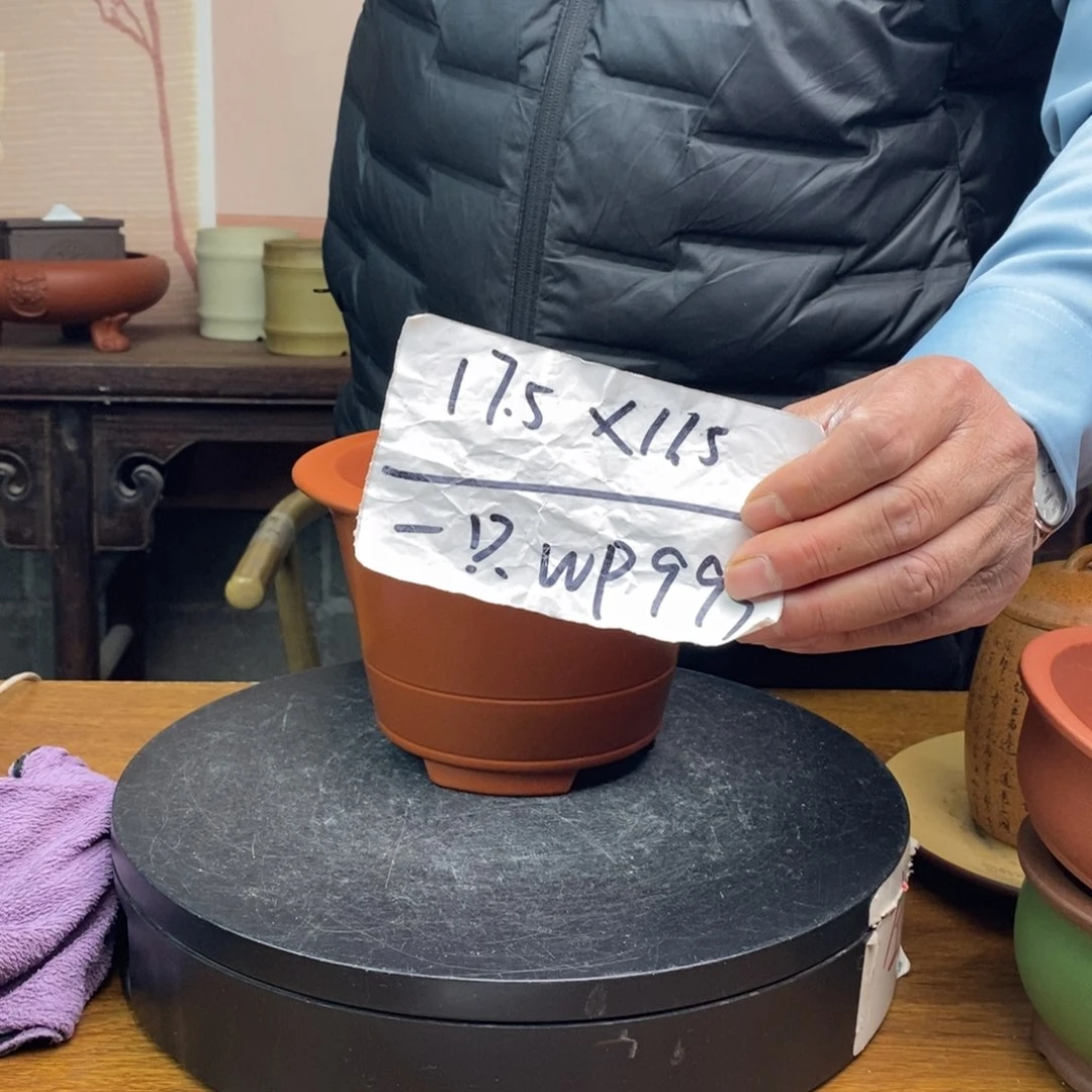 紫砂货号一只WP999