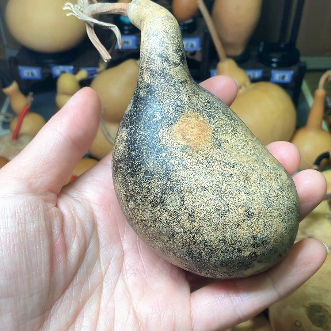 仙*花皮异型响籽手把腰