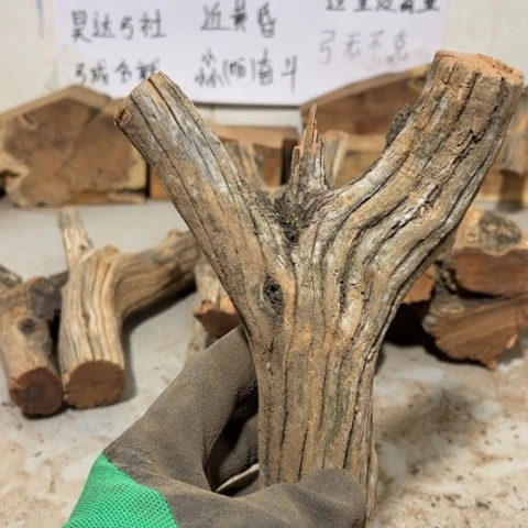 大果紫檀（缅甸花梨）淡**尘