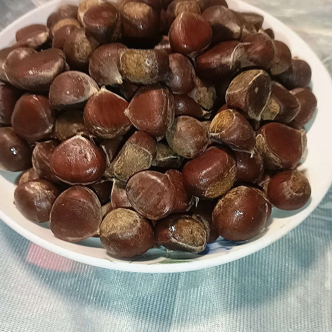 秦岭大山深处茅坪野生毛栗煮稀饭熬肉排骨粉糯香甜可口5斤包邮