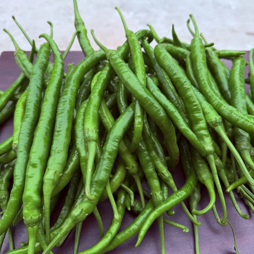 农家自种当季露天二荆条辣椒现摘现发（京东包邮）