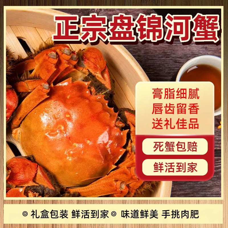 【活蟹】盘锦河蟹 母蟹（1.7-1.9两/只）10只 产地直发
