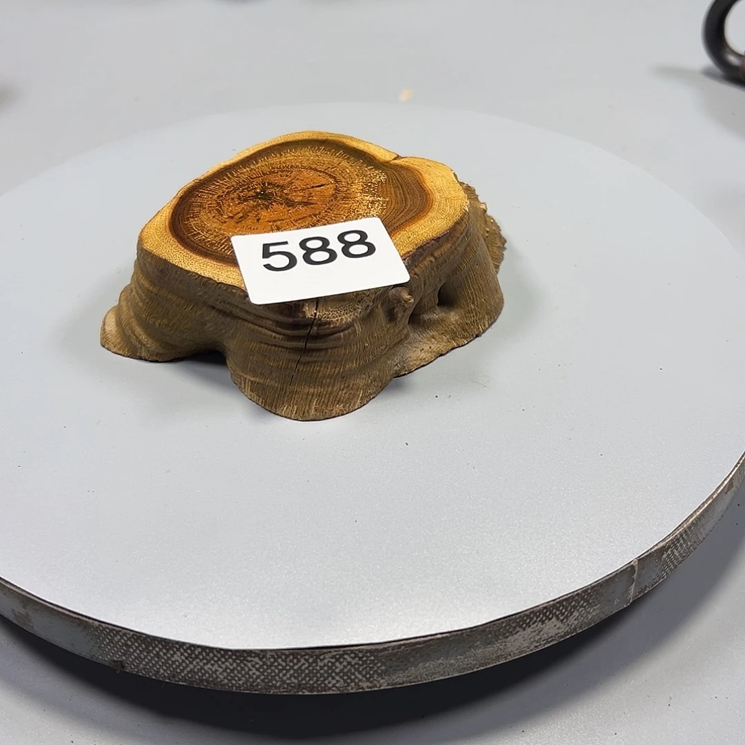 大果紫檀（缅甸花梨）用****1