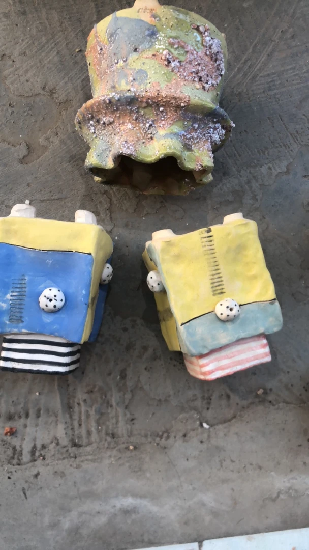 乔儿的盆多肉植物