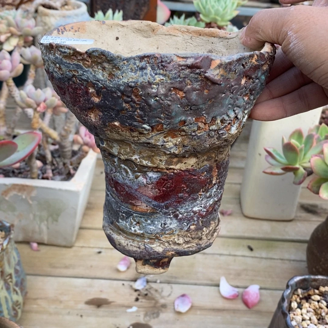 瓊***海114号多肉盆口径13高15