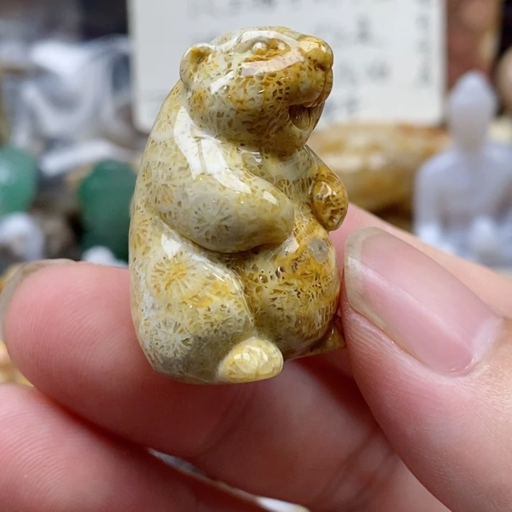 硅化珊瑚（珊瑚玉）未镶嵌颈饰小**小摆件