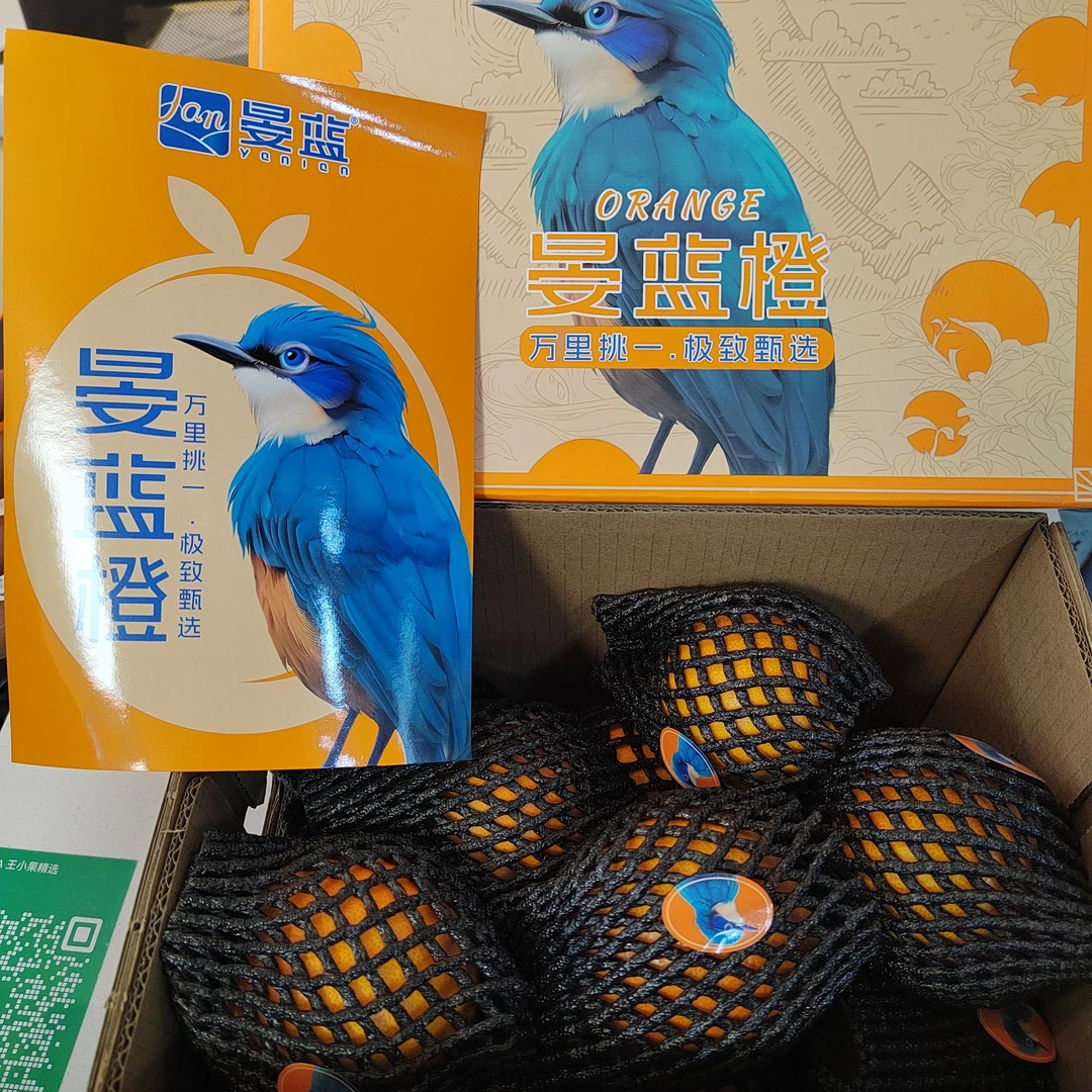 晏蓝橙 毛重5斤 甜