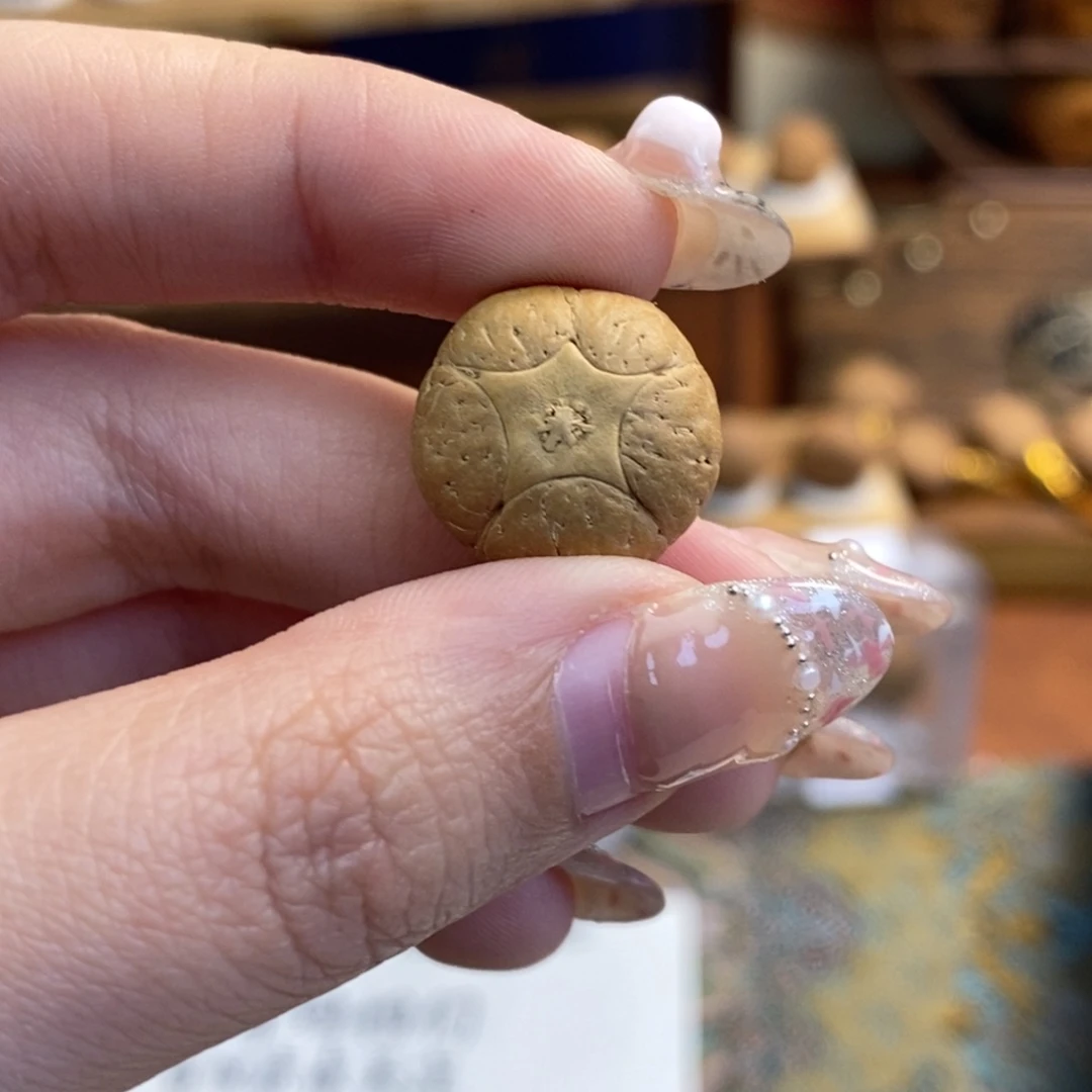 吊坠凤眼菩提五星