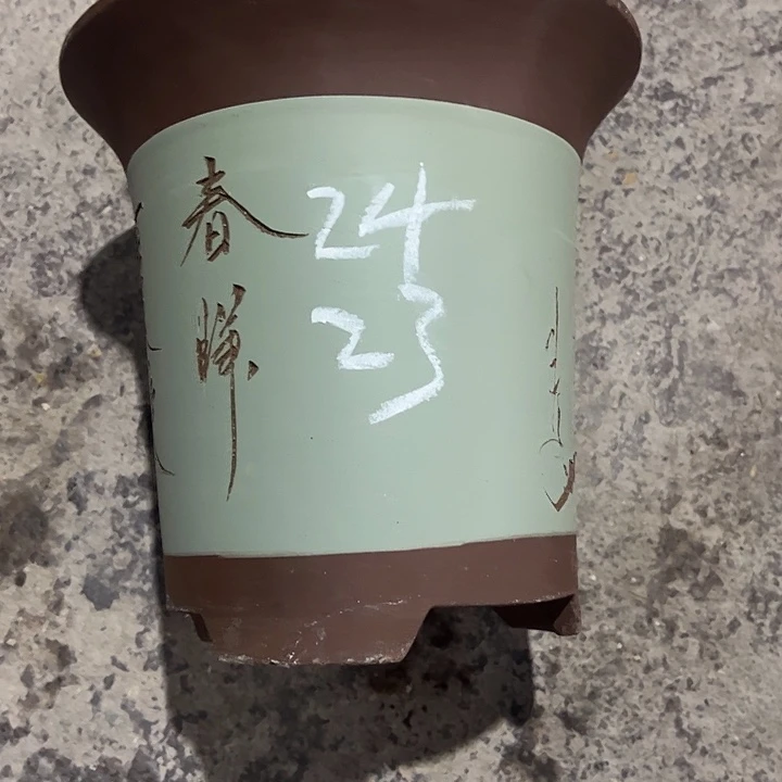 紫砂工艺厂……紫砂工艺厂……紫砂