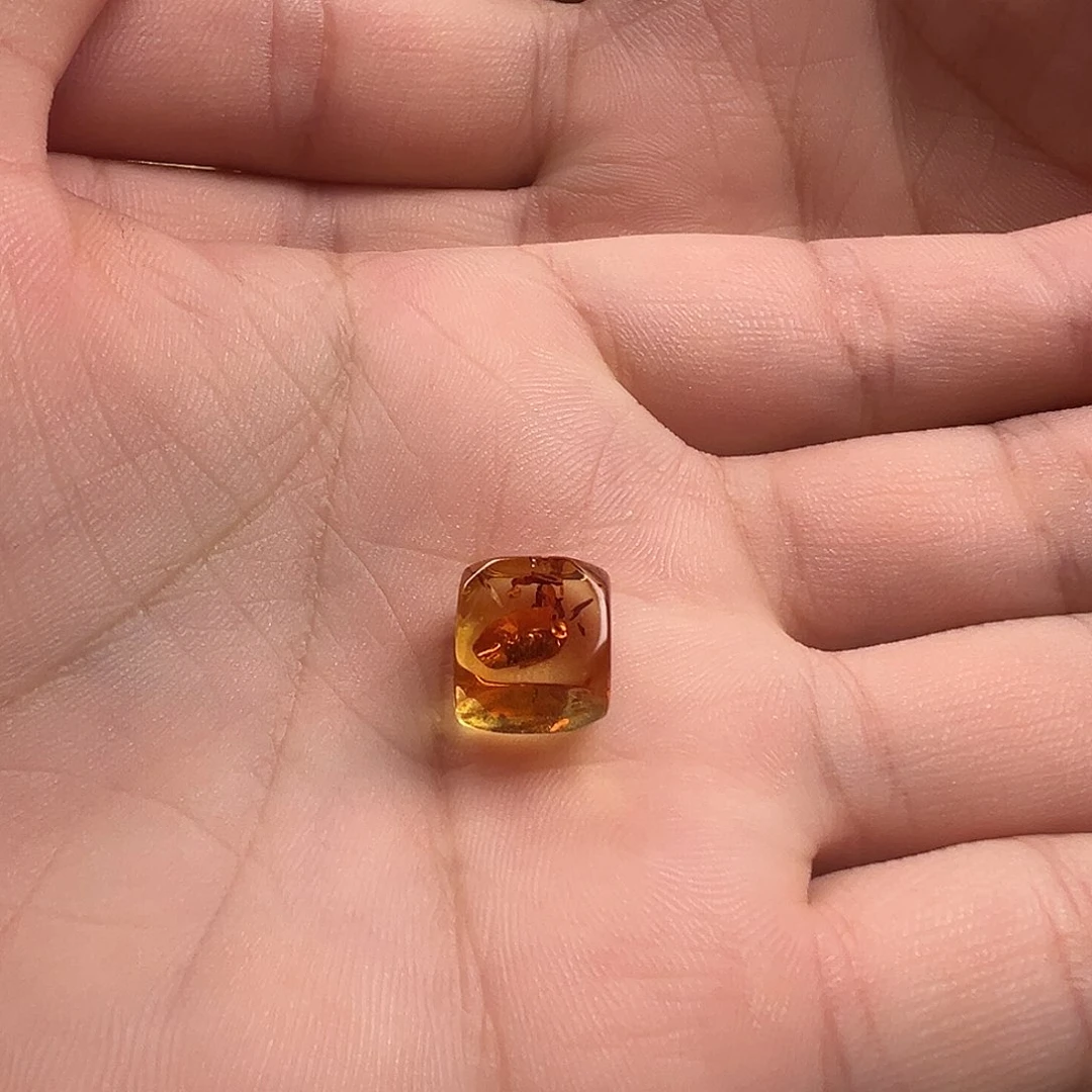 琥珀（花珀）颈饰未镶嵌花珀方块（打孔不退换）
