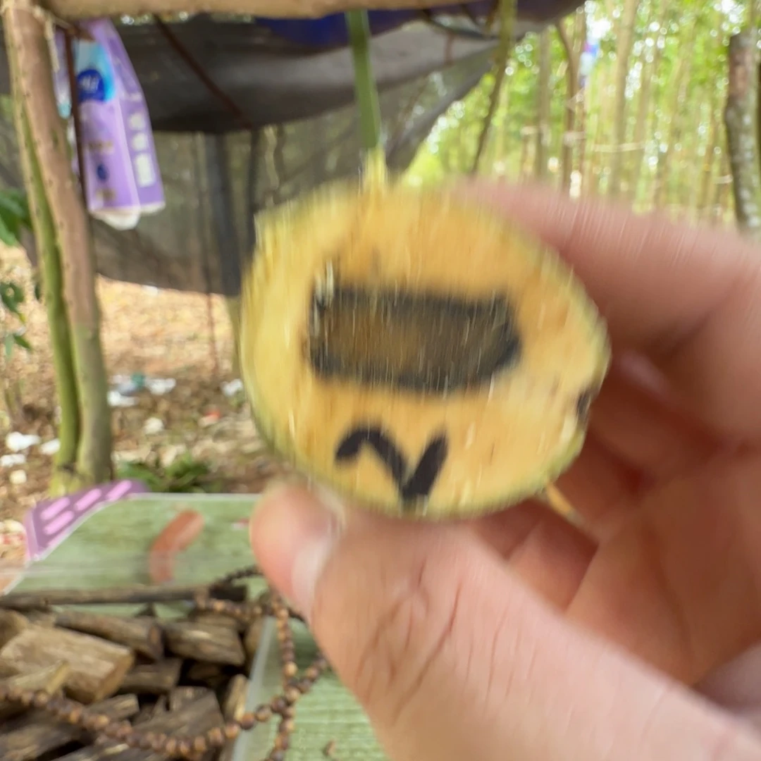 线香奇楠沉香原木