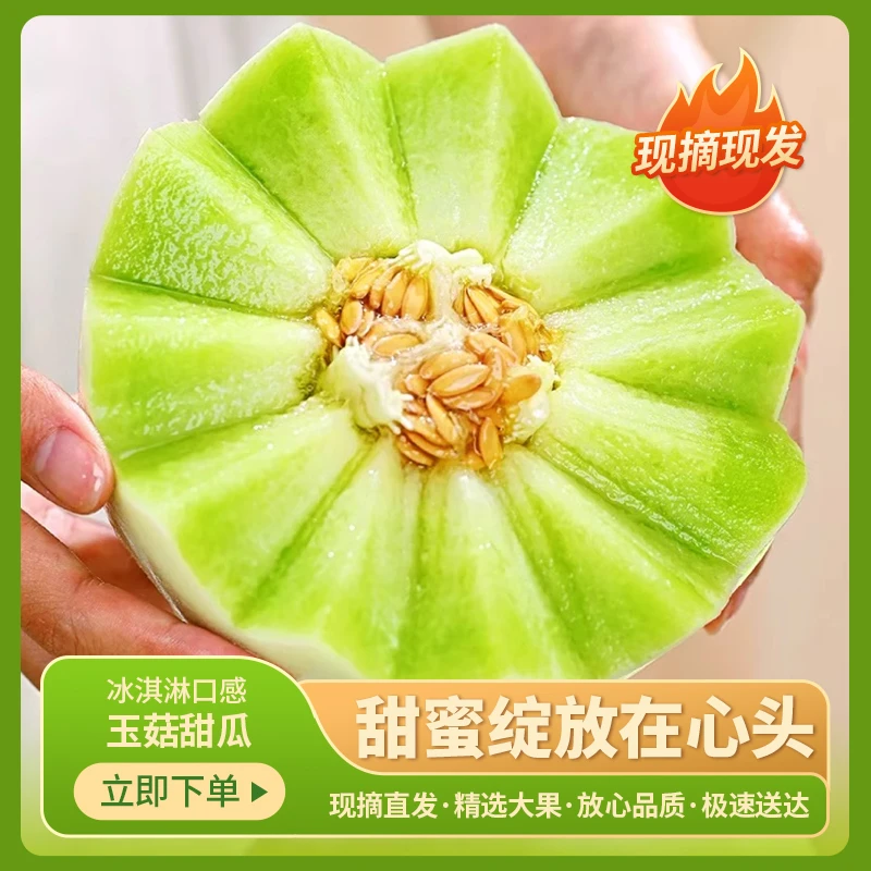 山东玉菇甜瓜4.5斤装冰激凌甜瓜哈密瓜软糯香甜新鲜现摘好吃