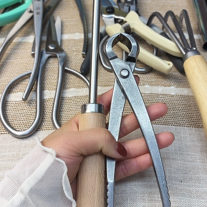 不绣钢松土根勾单齿举木一把➕球剪210中号一把包邮