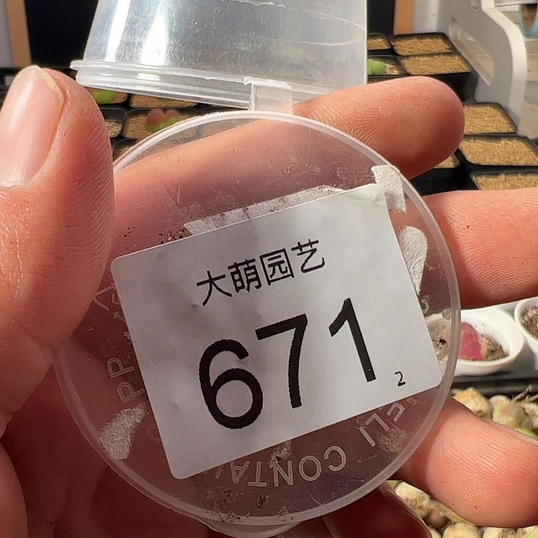 ****一物一拍。     671