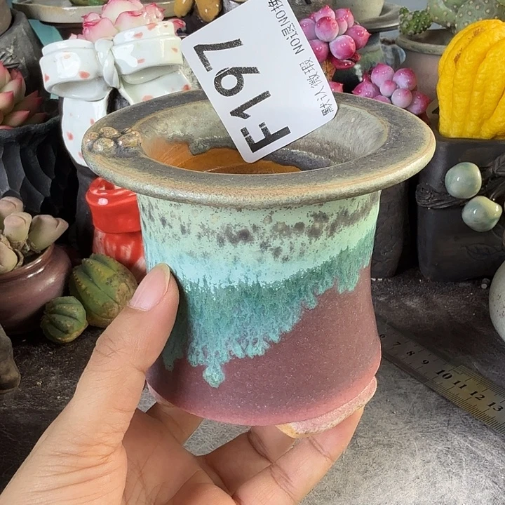 重庆小燕子欢迎大家197