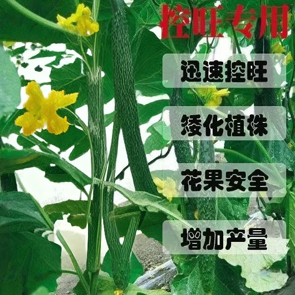【静静专属】快速控旺不伤花果增产增收的瓜果蔬菜通用型控旺剂
