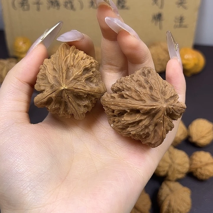 时***间菩提籽类龙首四棱有黄